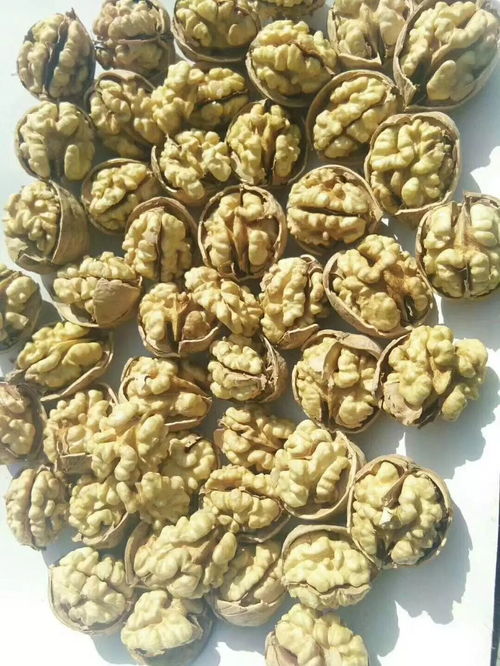 五家渠微利干果元旦特價(jià)大禮包 限時(shí)搶購(gòu)，手慢無(wú)！